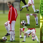 Spotlight: Fernando Torres